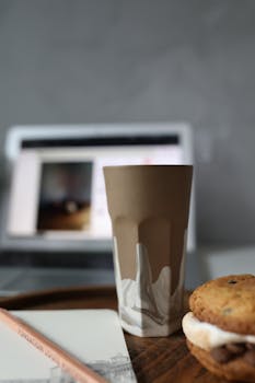 kaksonen leijonakasino