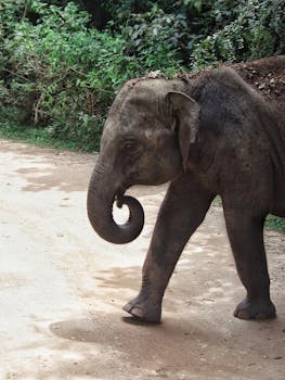 kulutusluotto pankki