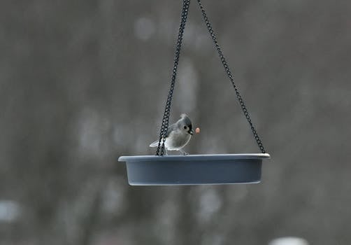 varaa aika lainaneuvotteluun