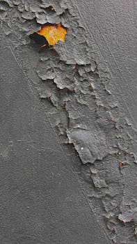 asuntolainan koron laskenta