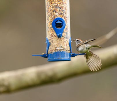 pikavippi 18v rahat heti tilille