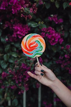 kuumin leijonakasino