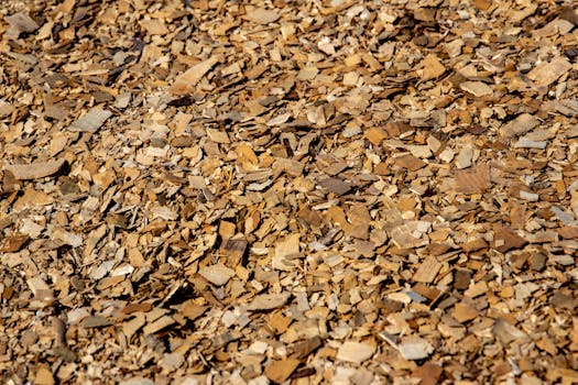 paras nettipokeri sivusto