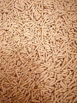 20 euron pikavippi ilman luottotietoja