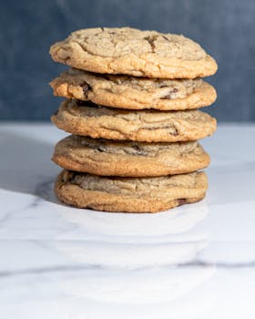 finnvera lainan takaisinmaksu