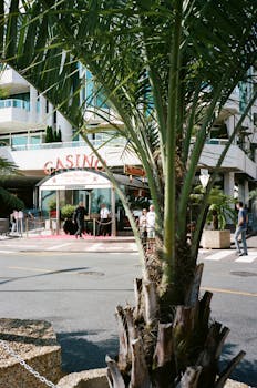 Casino