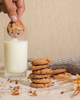 garantia lainatakaus ehdot