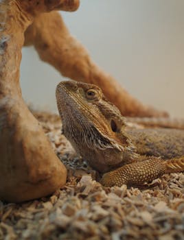 bank norwegian asiakaspalvelu puhelinnumero