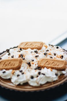 casino pelirahaa ilman talletusta