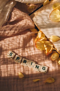 seat leon vaihtoautot