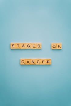 visa kortin vuosimaksu