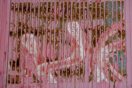 suomipopin parhaat nettikasinot