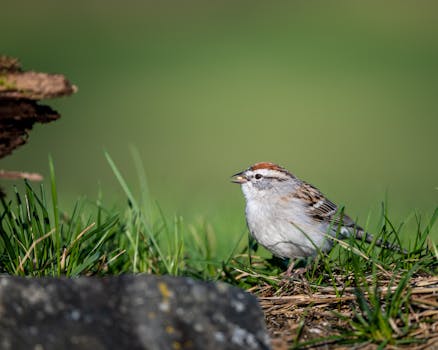 asuntolainan siirto toiseen pankkiin kulut