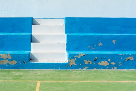 kuumin leijonakasino